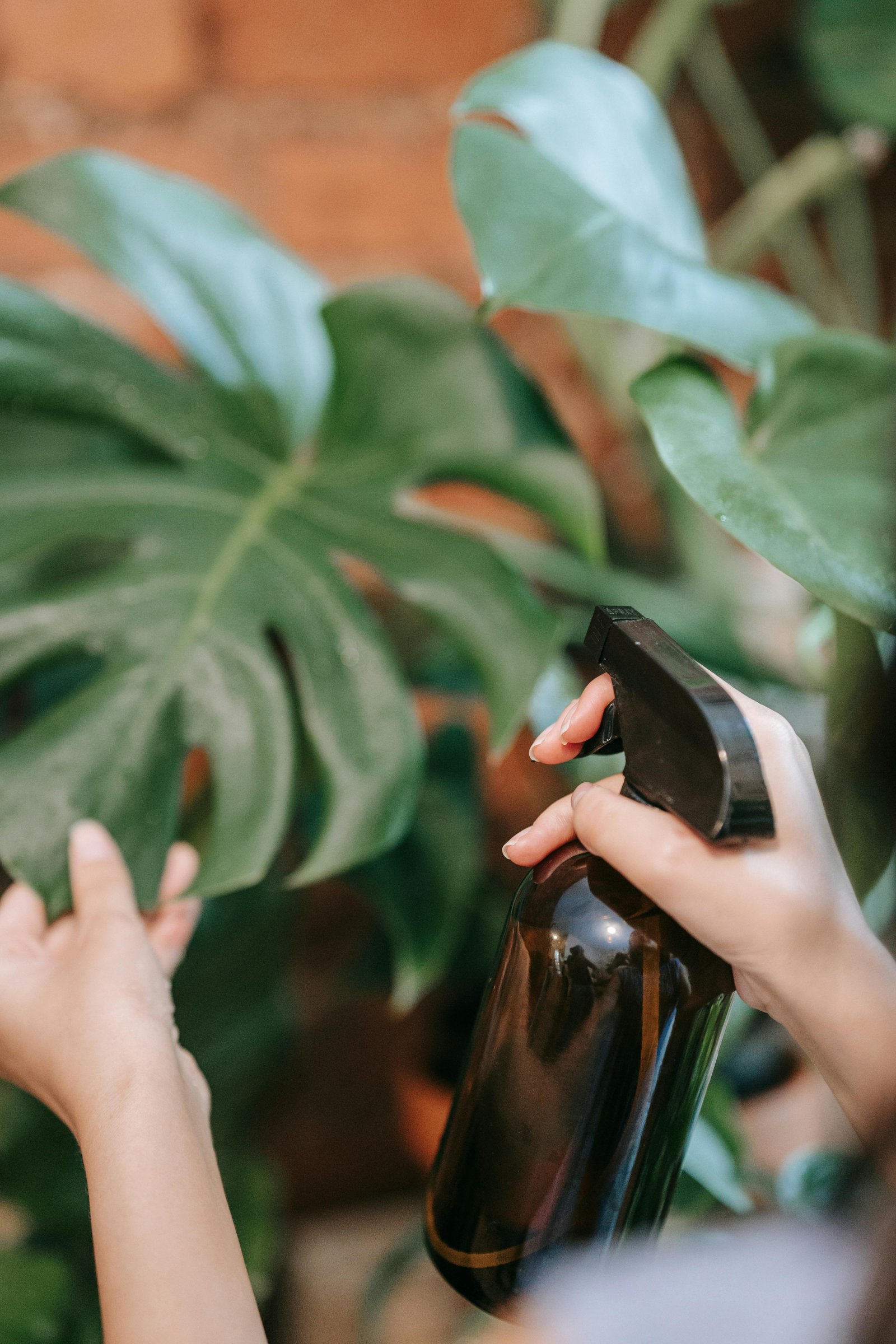 Brass and copper misting bottle set